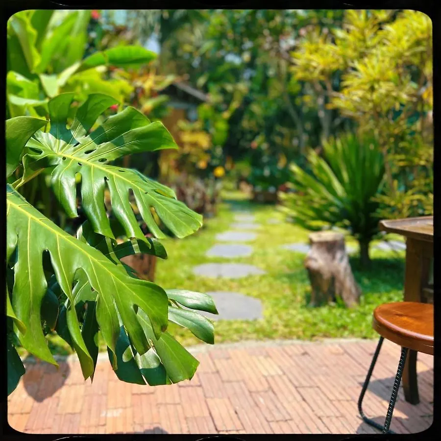 Guest house The Happy Bird B&B Hoi An